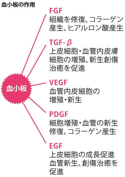 血小板について