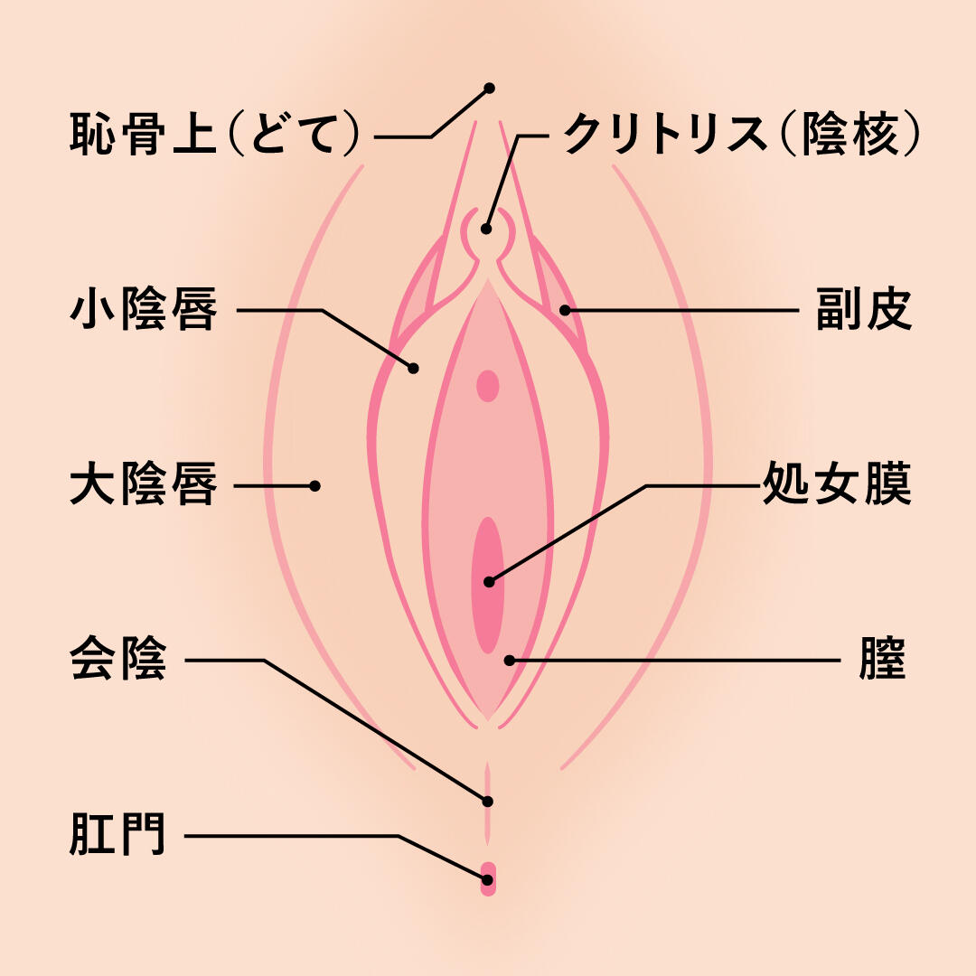 小陰唇が肥大してしまうと、どんなことが起きる？"