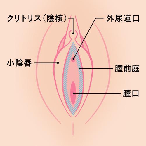 膣前庭部痛とは？