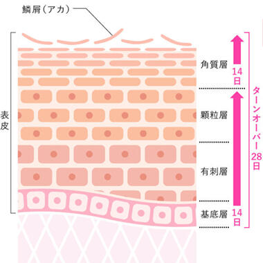 そもそもケミカルピーリングとは？