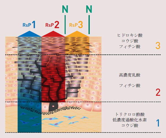 リバースピールの3ステップ