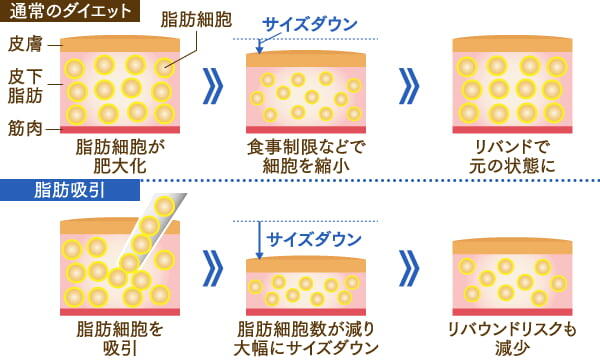 ■リバウンド防止効果があります