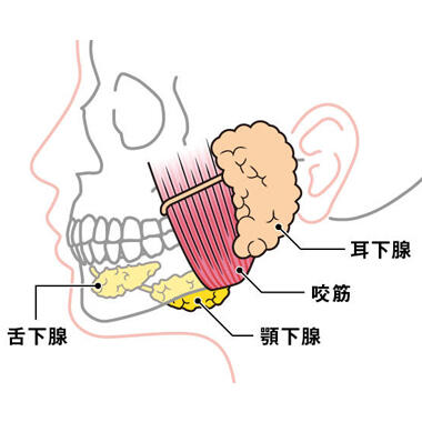 column_sagging09_contents04.jpg