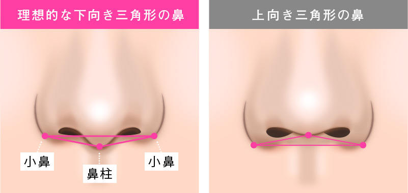 「下向き三角形」の鼻