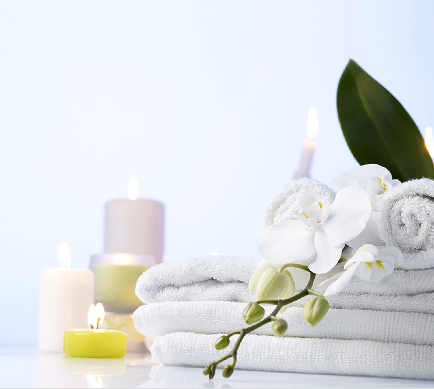 取材依頼フォーム