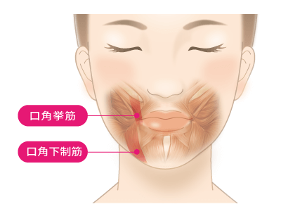 口角挙上 スマイルリップ でいつでも好印象を 公式 オザキクリニック
