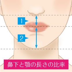 人中短縮 リップリフト 公式 オザキクリニック 美容整形 美容外科 美容皮膚科 東京新宿 目黒祐天寺 羽村 人中短縮 リップリフト 公式 オザキクリニック 美容整形 美容外科 美容皮膚科 東京新宿 目黒祐天寺 羽村