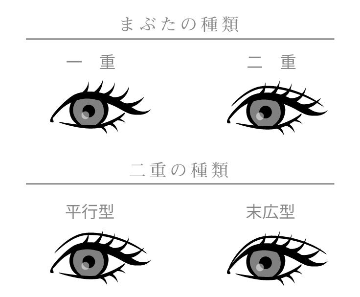 まぶたの種類は大きく分けて「二重まぶた」「一重まぶた」と2 種類。しかし、まぶたの脂肪の厚みや幅などさまざまなまぶたの種類があり、その中でも二重まぶたは、欧米人に多い二重の幅がほぼ一定の「平行型」タイプ、日本人に多い目尻に向かって二重の幅が広くなっている「末広型」タイプと「奥二重まぶた」があります。