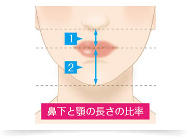 一般的には、上唇と下唇の比率は「１：1.3 ～ 2」でキュッと上がった口角、鼻下とアゴの長さの比率が「1：2」だと美しく見えると言われています