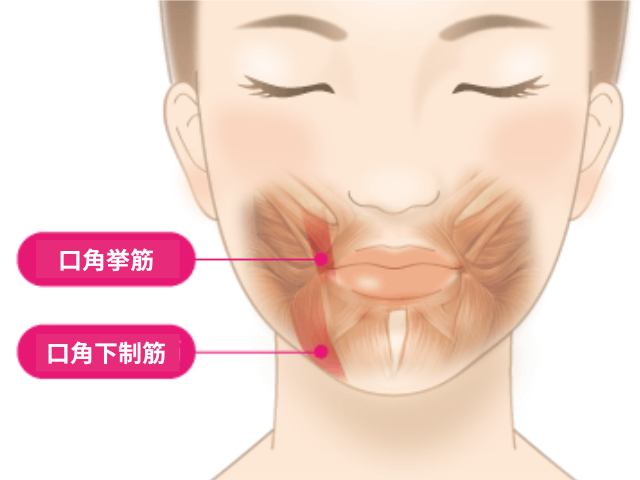img-sp_smilelips-ope_unique-02.png