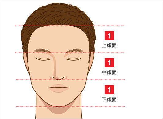 理想的な顔の比率