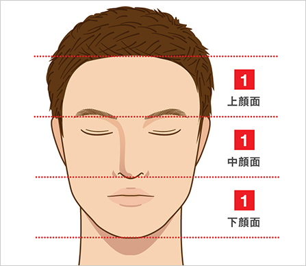 理想的な顔の比率