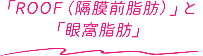 「ROOF（隔膜前脂肪）」と「眼窩脂肪」